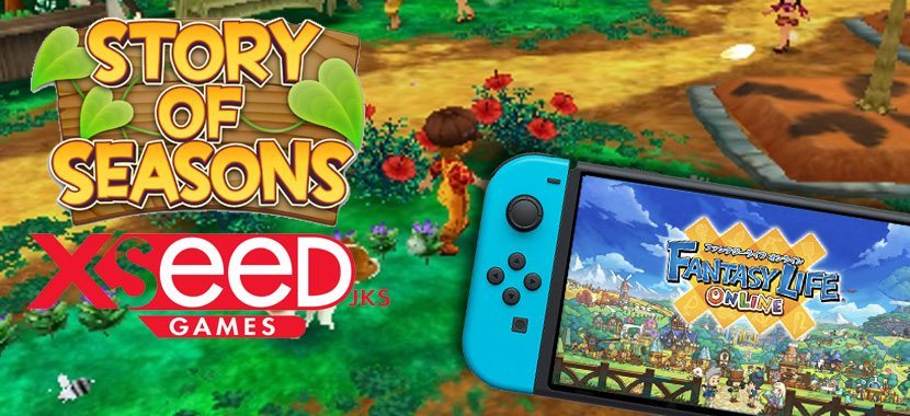 new story of seasons switch