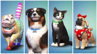 Photo of The Sims 4 is finally getting a Pets Expansion!