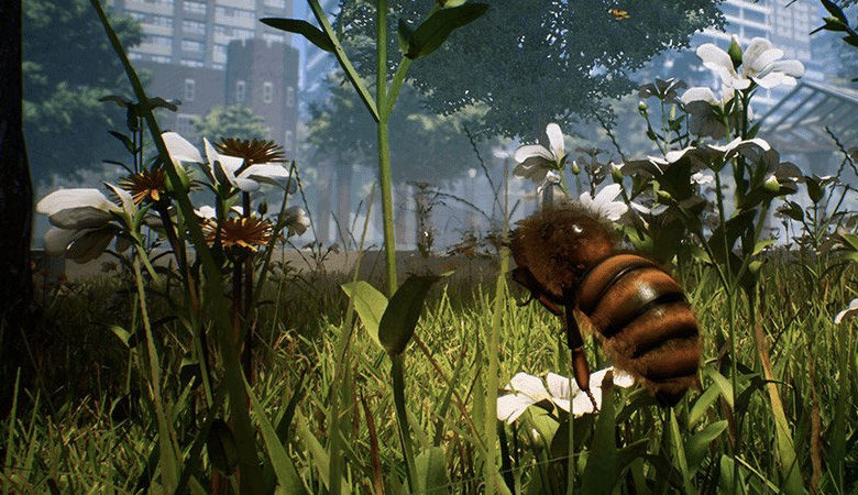 Bee Simulator Release Imminent For Switch Mypotatogames