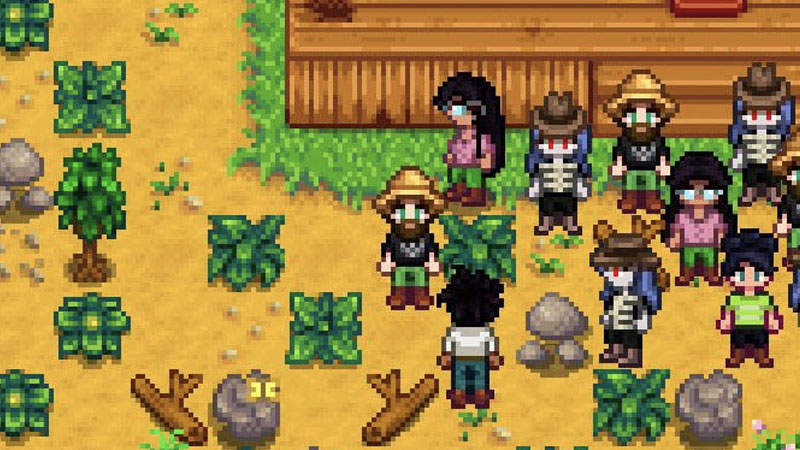 stardew valley multiplayer