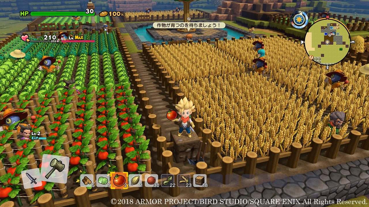 Dragon Quest Builders 2 farm fields crops