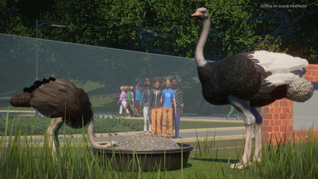 Planet Zoo ostriches eating in enclosure