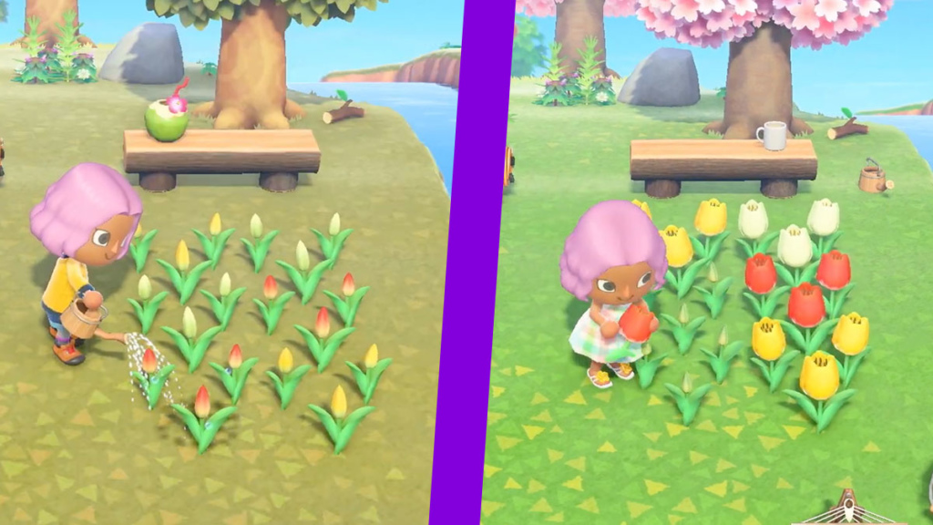 Animal Crossing New Horizons Flowers