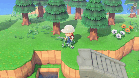 Animal Crossing New Hoirzons Terrain Customizations