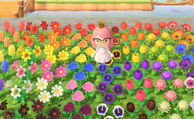 flower rainbow