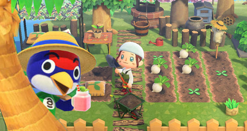 animal crossing new horizons unreleased features