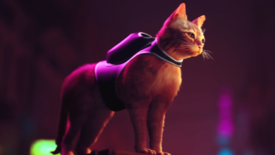 Photo of STRAY – The Upcoming Mystery Game Where You Explore A Cybercity As A Cat