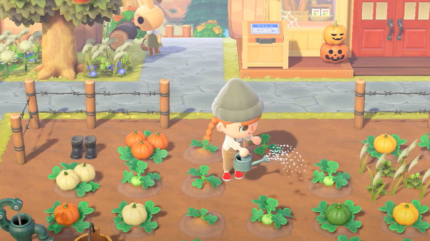 animal crossing new horizons farming