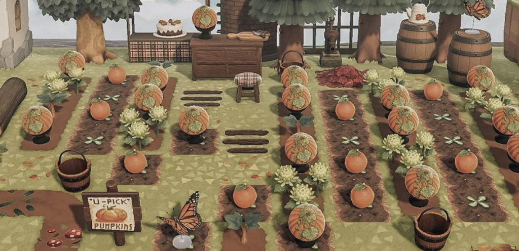 animal crossing new horizons pumpkin patch