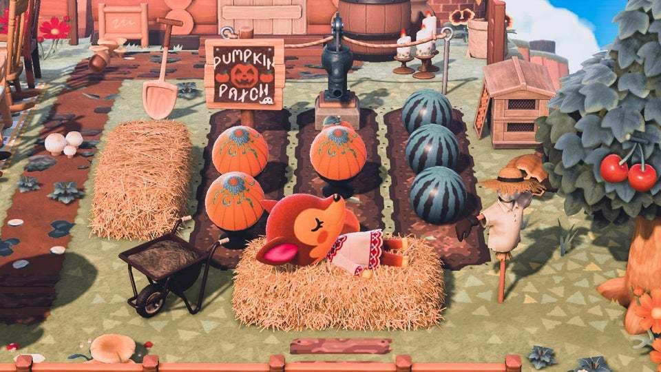 Featured image of post Easiest Way to Make Cute Pumpkin Patch Animal Crossing