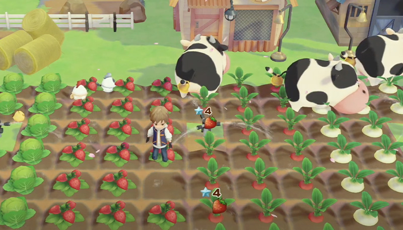 story of seasons pioneers of olive town