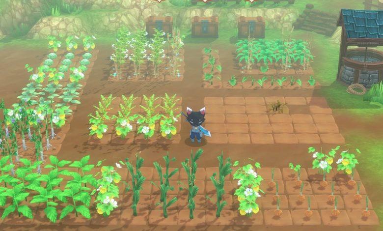 kitaria fables farming tools