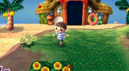  animal crossing new leaf mystery island tour