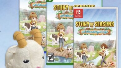 Photo of Story Of Seasons A Wonderful Life Release Date And Pre-Orders